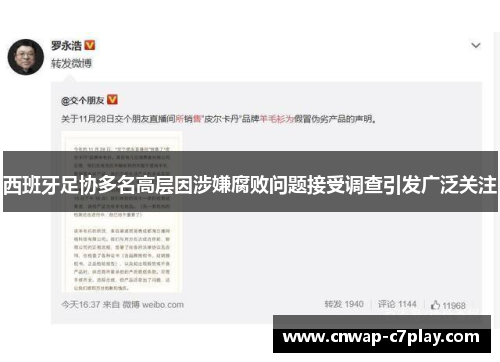 西班牙足协多名高层因涉嫌腐败问题接受调查引发广泛关注